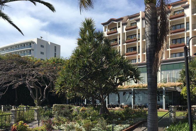 Private Walking Food Tour Around Funchal - Getting there and moving comfortably: practical tips that matter