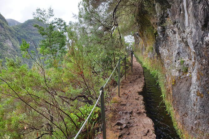 Queimadas-Caldeirão Verde - Madeira’s Laurissilva hike: the real reason this tour works