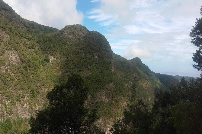 Queimadas-Caldeirão Verde - Plants, birds, and the kind of attention you’ll be glad you brought