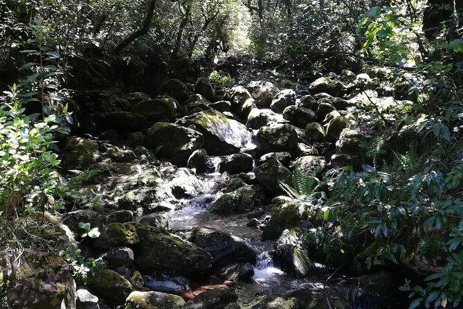 Queimadas-Caldeirão Verde - Price and value: what $54.19 buys you in the real world