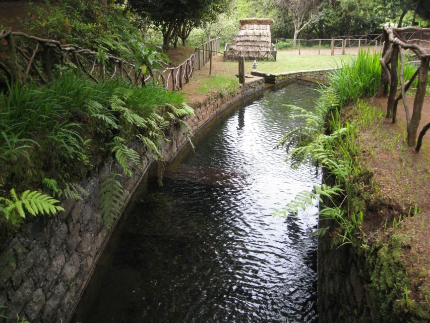 Queimadas Caldeirao Verde Full day hike - Key highlights you’ll actually remember