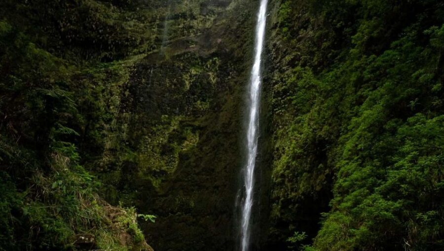 Queimadas Caldeirao Verde Full day hike - Small details that affect your experience more than you think