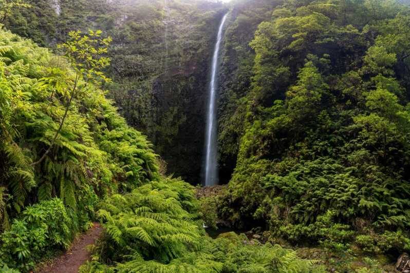 Queimadas Caldeirão Verde Madeira Island Walk - Key highlights worth your attention