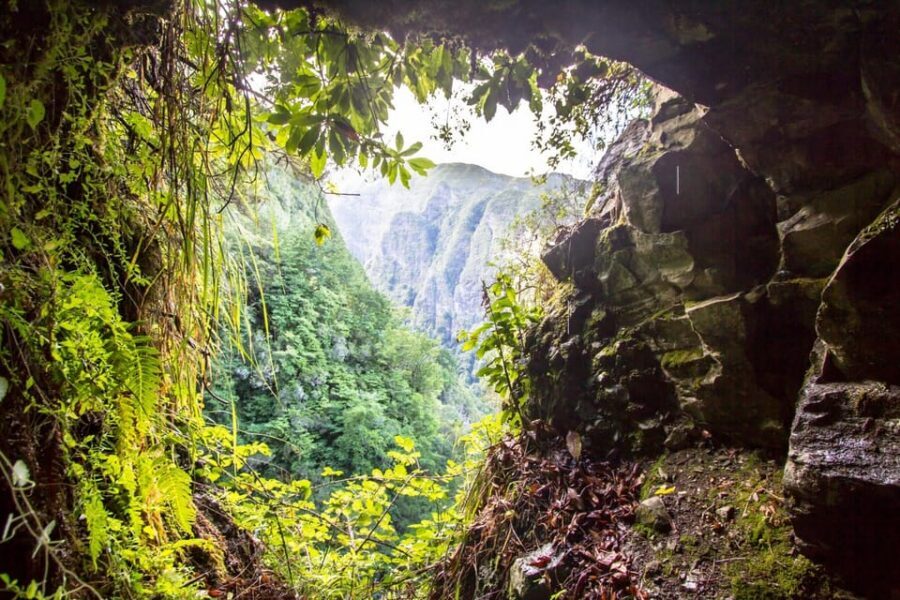 Queimadas Caldeirão Verde Madeira Island Walk - Queimadas Park to the levada trail: shade, birds, and steady walking