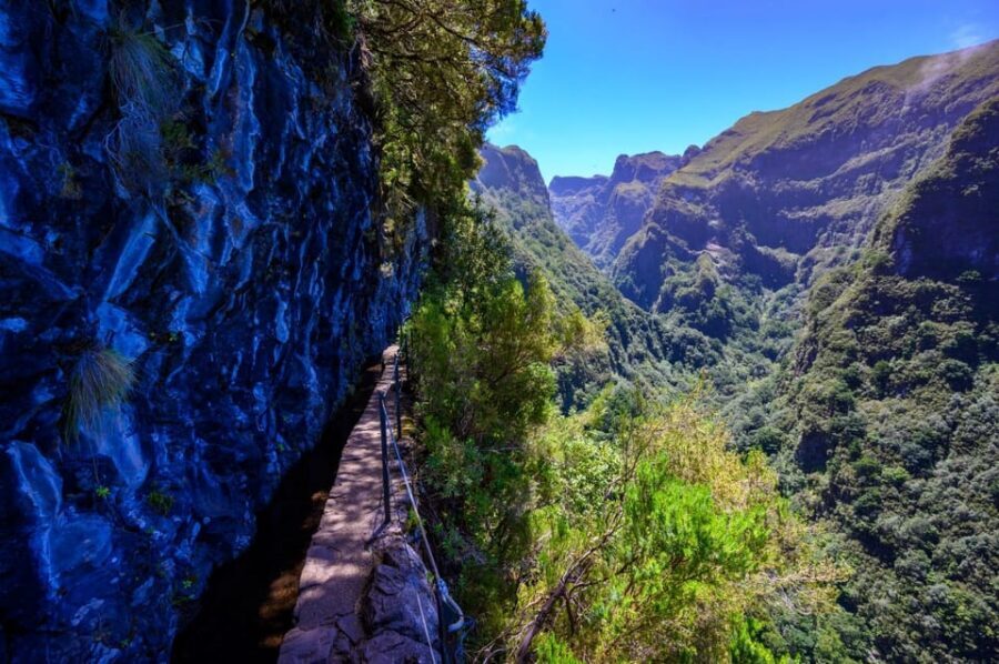Queimadas Caldeirão Verde Madeira Island Walk - The Laurisilva UNESCO forest: why the guide-led pacing is worth it
