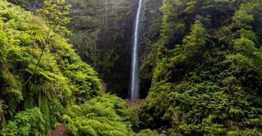 Queimadas Caldeirão Verde Madeira Island Walk - Caldeirão Verde waterfall: the main payoff and how to enjoy it