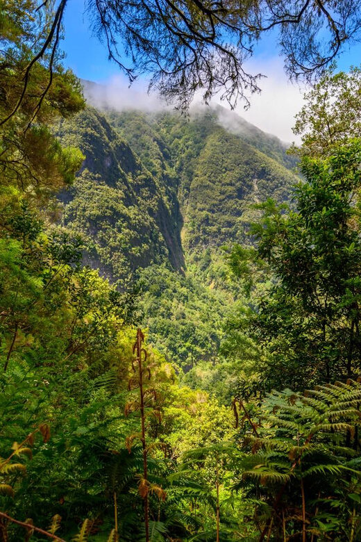 Queimadas Caldeirão Verde Madeira Island Walk - Should you book the Queimadas Caldeirão Verde walk?
