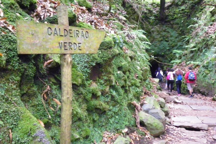 Queimadas Caldeirão Verde Walking tour with guide - Guide quality and the small-group rhythm (Magno is a big reason)