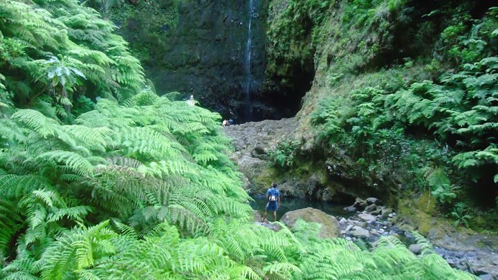 Queimadas Natural Park 5-Hour Guided Hike - Key things to know before you go