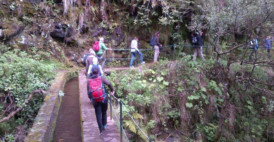 Queimadas Natural Park 5-Hour Guided Hike - From Funchal pickup to trailhead: why timing can surprise you