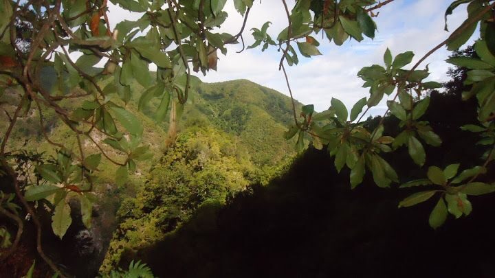 Queimadas Natural Park 5-Hour Guided Hike - Your mountain guide: upbeat energy and practical help