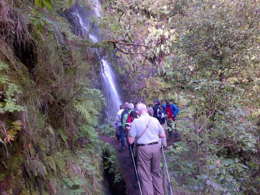 Queimadas Natural Park 5-Hour Guided Hike - What to pack for Caldeirão Verde: shoes, water, and tunnel light