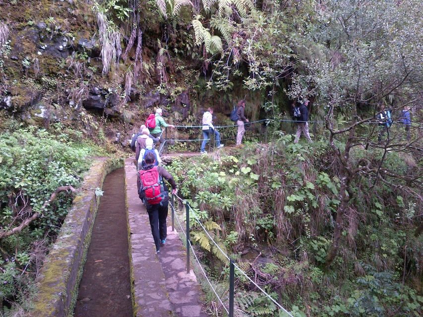Queimadas Natural Park 5-Hour Guided Hike - Should you book the Queimadas Natural Park guided hike?