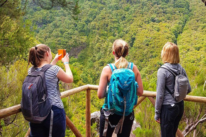 Rabaçal 25 Fontes Levada Walk in Small Groups - Key things to know before you lace up