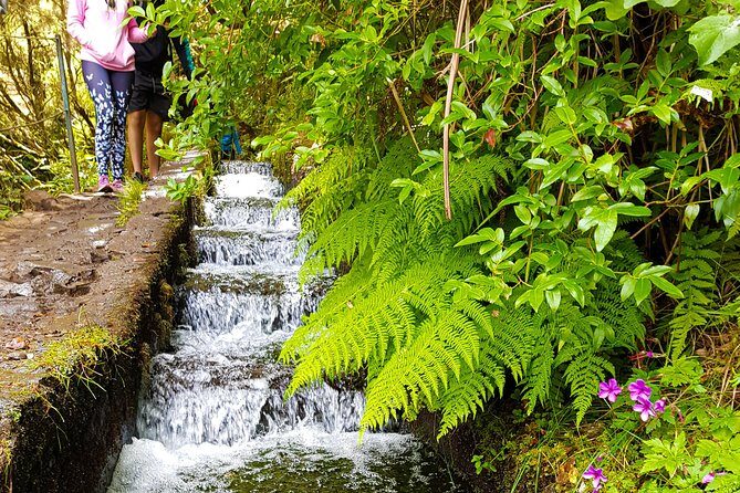 Rabaçal 25 Fontes Levada Walk in Small Groups - 25 Fontes: the reason people say Madeira is worth it
