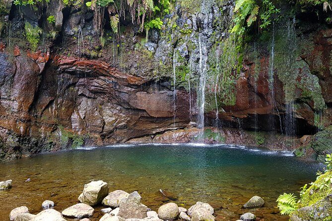 Rabaçal 25 Fontes Levada Walk in Small Groups - Guides: where this tour earns its trust