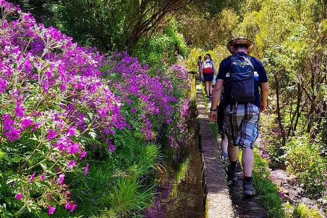 Rabaçal 25 Fontes Levada Walk in Small Groups - Value for $54.31: what you’re really paying for