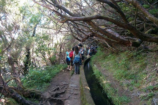 Rabaçal / 25 Fonts - The tunnel walk: how to prepare for the dark and narrow parts