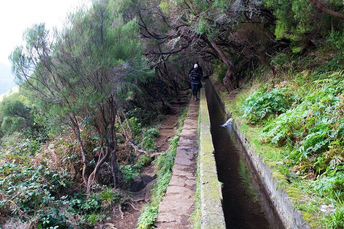 Rabaçal Hiking Tour - Levada das 25 Fontes: walking through the Laurissilva’s story