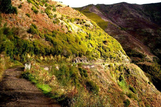 Rabaçal - Levada das 25 Fontes - Key highlights to know before you go