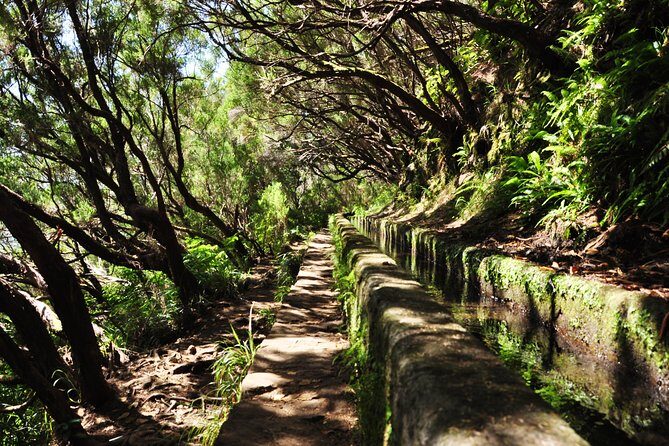 Rabaçal - Levada das 25 Fontes - The PR6 25 Fontes section: steps, water features, and a tunnel you can’t fake