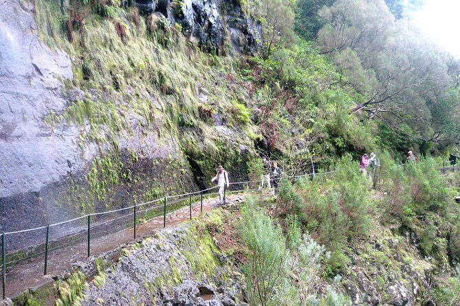 Rabaçal - Risco - 25 Fontes Levada Walk - Meeting in Funchal: Quick Transfers, Easy Start