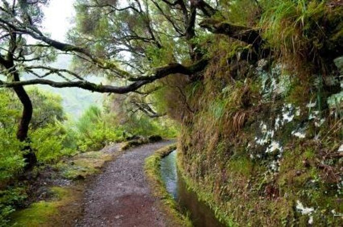 Rabaçal / Risco / 25 Fountains Full-day walk - Key highlights you will feel on the trail