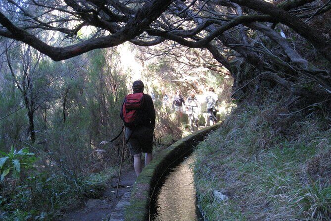 Rabaçal / Risco / 25 Fountains Full-day walk - Laurisilva Forest stop: the quiet start you will remember