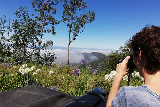 Real Life, Mountains & Sea Cliffs + Lunch + Levada walk - 6 hours - Why this UMM jeep day is such a smart Madeira move