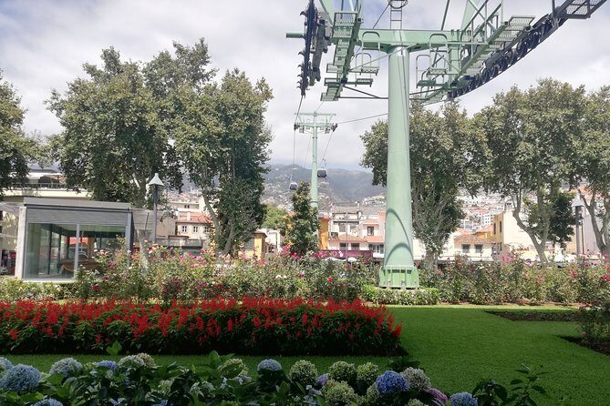 Real Life, Mountains & Sea Cliffs + Lunch + Levada walk - 6 hours - Funchal streets and the Barreiros stadium stop
