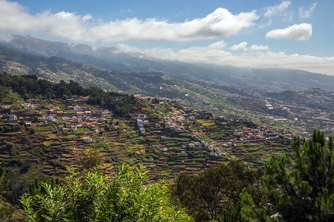 Real Life, Mountains & Sea Cliffs + Lunch + Levada walk - 6 hours - Câmara de Lobos and Estreito: where the real driving begins
