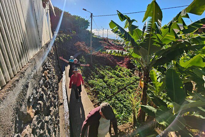 Real Life, Mountains & Sea Cliffs + Lunch + Levada walk - 6 hours - Levada Norte and the levada walk: the most “Madeira” part