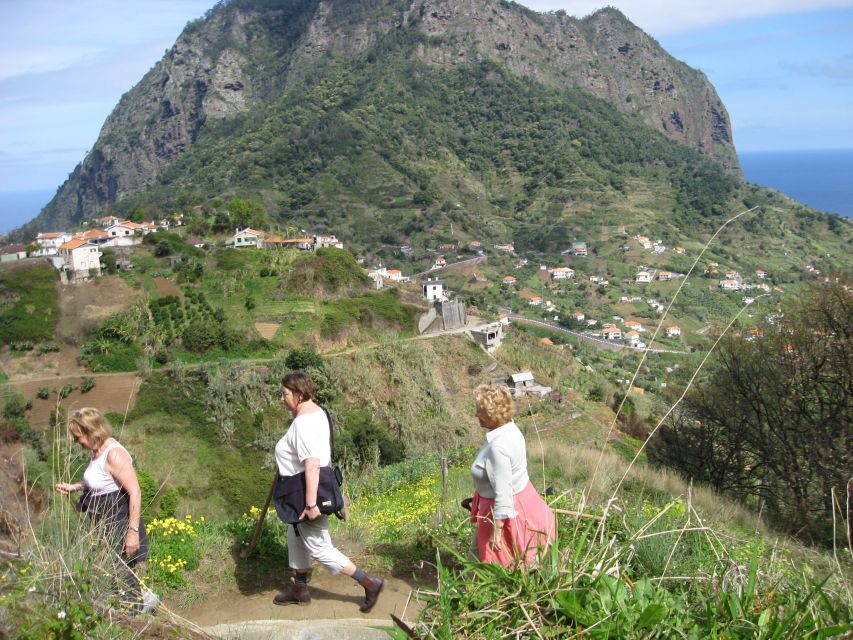Referta & Castelejo: Half-Day Morning Walk - From Hotel Pickup to the Levada do Castelejo Start