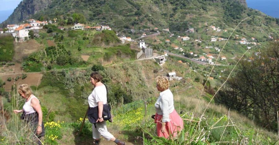 Referta & Castelejo: Half-Day Morning Walk - Flora and Fauna: Learning to Spot Madeira’s Endemics on the Move