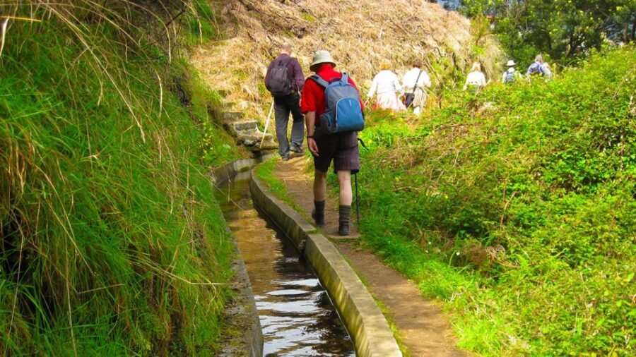 Referta / Castelejo - Levada Walk - Key things you’ll notice on this Levada Walk