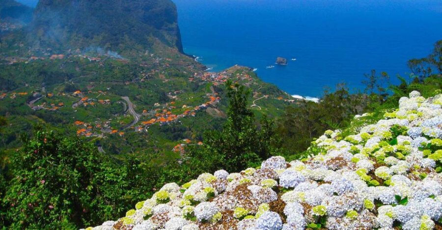 Referta / Castelejo - Levada Walk - Who this Levada Walk is best for (and who should choose another day)