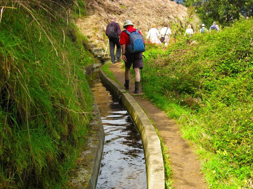 Referta / Castelejo - Levada Walk - Price and value: does $38 make sense?