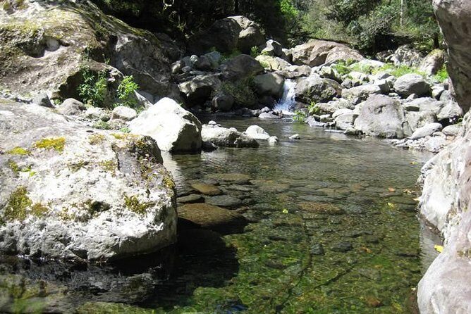 Referta Castelejo Levada Walk from Funchal - A gentle levada walk that still feels like Madeira