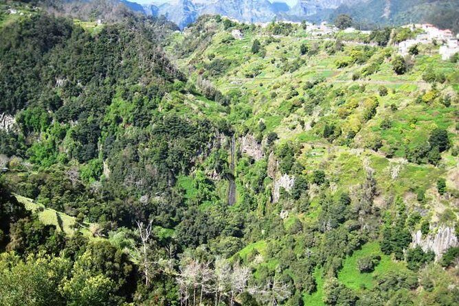 Referta Castelejo Levada Walk from Funchal - The Levada do Castelejo section: plants, local tradition, and quiet scenery