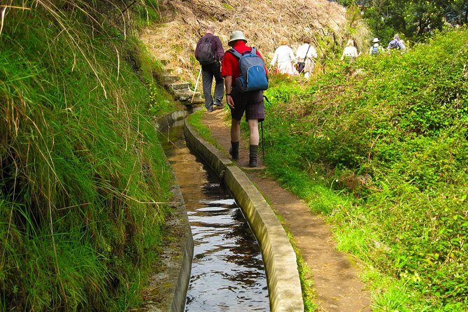 Referta Castelejo Levada Walk from Funchal - Who should book this levada walk—and who might prefer something else