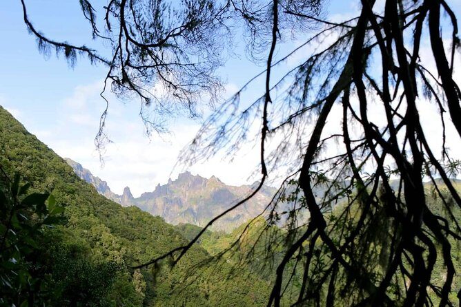 Ribeiro Frio - Portela - Madeira’s Laurissilva Forest feels calmer than downtown Funchal