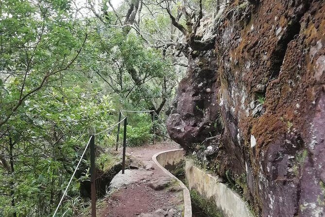 Ribeiro Frio - Portela - Plants, birds, and the guide’s job: focus your attention