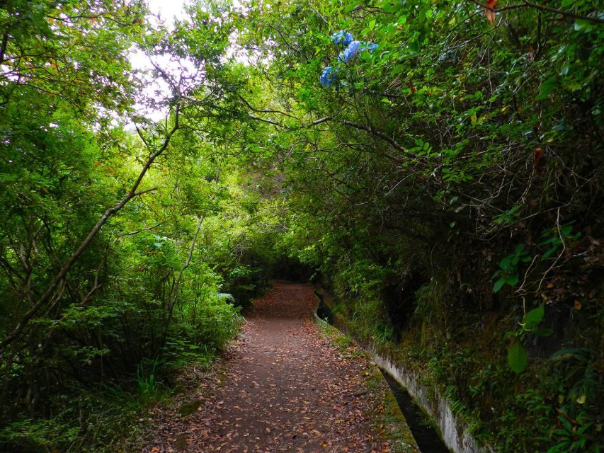 Ribeiro Frio / Portela - Levada Walk - Key things that make this levada walk worth your time