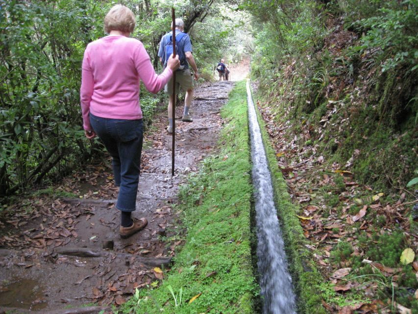 Ribeiro Frio / Portela - Levada Walk - Why the Ribeiro Frio to Portela levada walk is such a big deal in Madeira