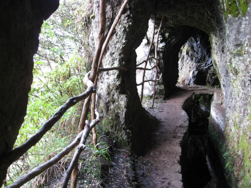Ribeiro Frio / Portela - Levada Walk - The garden and famous trout pond: the calm warm-up that pays off later