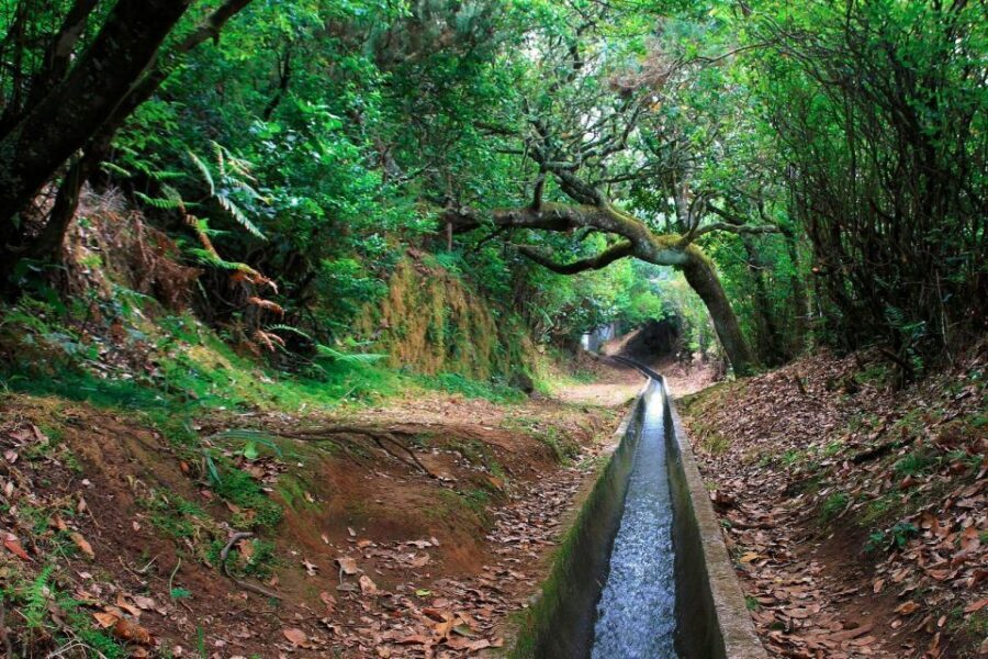 Ribeiro Frio / Portela - Levada Walk - Near Lamaceiros: the viewpoint that makes the effort feel worth it