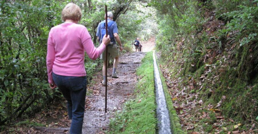 Ribeiro Frio / Portela - Levada Walk - Timing and pacing: why “8 hours” can feel different in real life