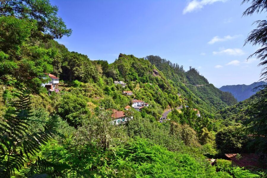 Ribeiro Frio / Portela - Levada Walk - Hotel pickup and the meet point: how to avoid wasting morning time