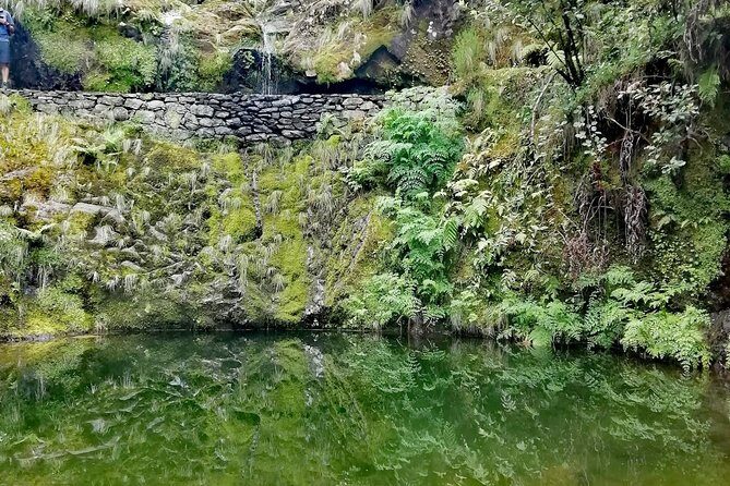 Ribeiro Frio - Portela - Why $54.01 is fair value for a guided 4-hour hike