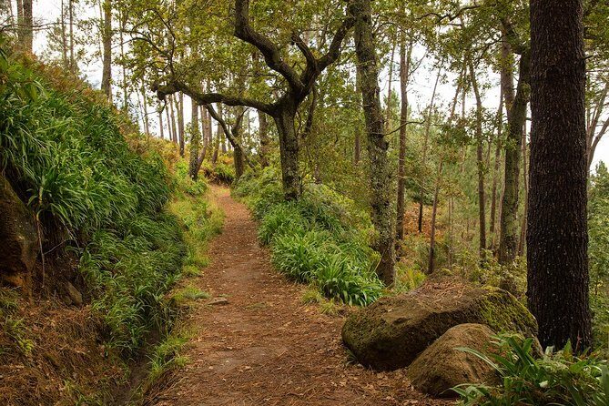 SANTANA Combo Expedition (Jeep & Levada Walk) - Shared Tour - Why This Combo Tour Works: Jeep Access Plus Levada Walking